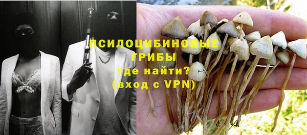 соль ск Богданович