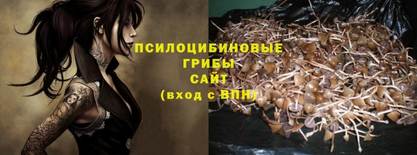 соль ск Богданович