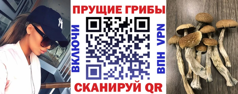 Галлюциногенные грибы Psilocybe  blacksprut ONION  Коммунар 